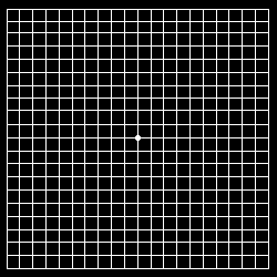 Amsler Grid Chart With Instruction