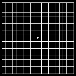 Amsler Recording Chart